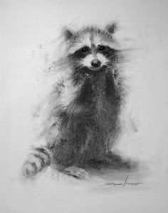 a black and white drawing of a raccoon sitting on the ground with its eyes open