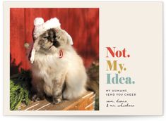 a card with a cat wearing a santa hat