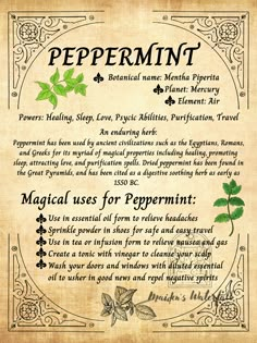 An enduring herb: Peppermint has been used by ancient civilizations such as the Egyptians, Romans, and Greeks for its myriad of magical properties including healing, promoting sleep, attracting love, and purification spells. Dried peppermint has been found in the Great Pyramids, and has been cited as a digestive soothing herb as early as 1550 BC.   This "Peppermint" printable can be used as wall art, or you can add it to your notebook or herbology journal. This page is also a great addition to a Witchcraft Tools, Medicine Garden, Wiccan Art, Attracting Love, Magickal Herbs, Witch Herbs, Herb Gardens, Magic Herbs