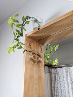 a potted plant sitting on top of a wooden shelf next to a bathroom mirror