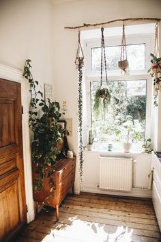 a room that has some plants on the window sill and a potted plant