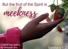 a hand holding a strawberry with the words, but the fruit of the spirit is meme