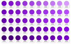 purple circles are arranged in rows on a white background, with the names and numbers below them