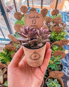 a hand holding up a cup with succulents in it on top of a table