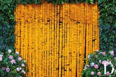 yellow flowers are growing on the side of a building