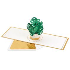 a card with a potted plant on top of it and a gold envelope underneath