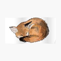 a drawing of a sleeping fox on a white background, with the head turned to the side