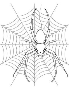 a spider sitting on its web in front of a white background with black outlines