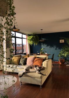 a cat laying on top of a couch in a living room next to a window