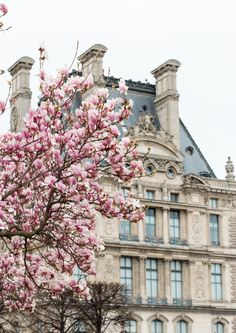 pink flowers are blooming in front of a large building