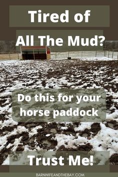 horse paddock covered in mud. text reads "tired of spring mud? do this for your horse paddock. Trust me!" 2 Acre Horse Farm Layout, Horse Water Trough Ideas, Horse Farm Hacks, Diy Horse Arena Cheap, Horse Track System Ideas, Horse Boarding Business, Horse Pasture Shelter, Horse Paddock Ideas, Horse Barn Hacks