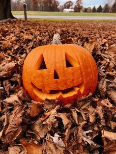 a carved pumpkin sitting on top of leaves in a field with trees and grass behind it