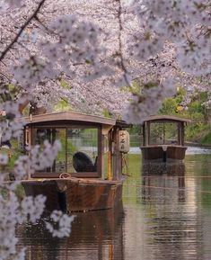 two small boats floating on top of a lake next to trees with flowers in bloom