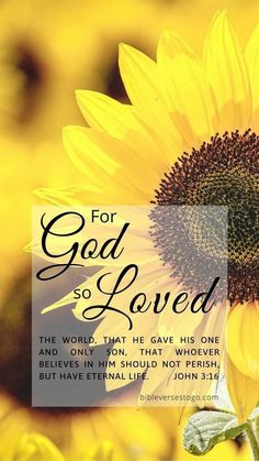 a sunflower with the words for god so loved