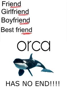 an orca has no end in front of the words friend girlfriend boyfriend best friend