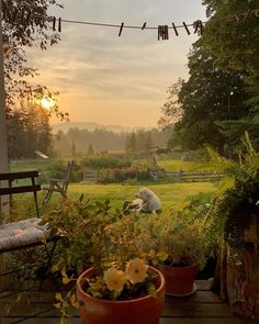 the dog is laying down on the deck in the yard, watching the sun go down