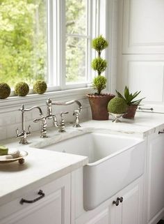 a white kitchen with two sinks and potted plants