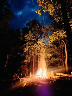 a campfire lit up in the woods at night