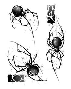 three black and white images of spider legs