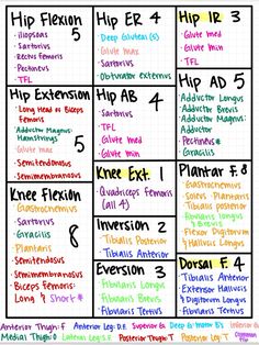 a printable version of the hip flexor chart for students to use in their classroom