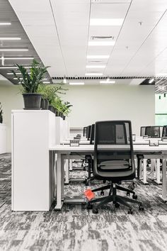 an office cubicle with chairs, desks and plant in the corner on the floor