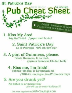 a poster with instructions on how to use the irish pub chat sheet for st patrick's day