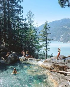 people are swimming in the water near some rocks and pine trees, with mountains in the background