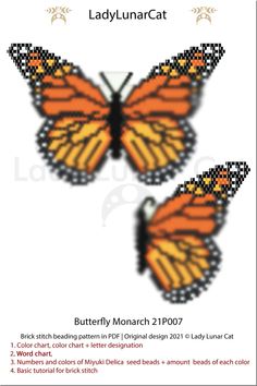 two orange and black butterflies with the words lady luna cat on it's wings