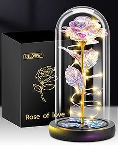 an illuminated rose in a glass dome with the box open to show it's contents