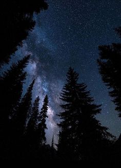 the night sky is filled with stars and trees