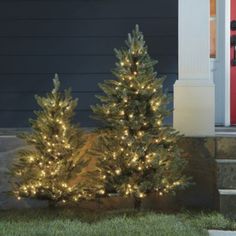 two christmas trees sitting in front of a house with lights on them and one has a red door