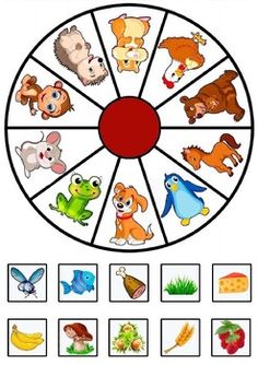 a wheel with pictures of different animals and birds on it, all in the same circle