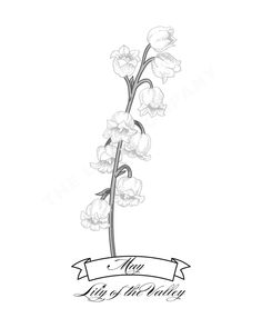 lily of the valley flower with ribbon and banner on white background, hand drawn illustration