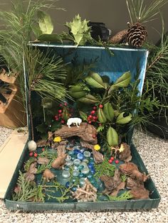 an open suitcase filled with plants and rocks on top of a table next to pine cones