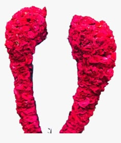 red flowers are arranged in the shape of letters v