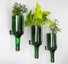 three green vases with plants in them hanging on the wall next to each other