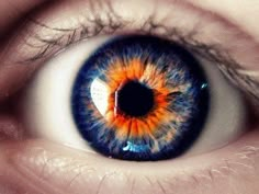 Eye Color Facts, Eye Iris, Rare Eye Colors, Fantasy Make-up, Iris Eye, Rare Eyes, Foto Macro, Beautiful Eyes Color, Amazing Eyes