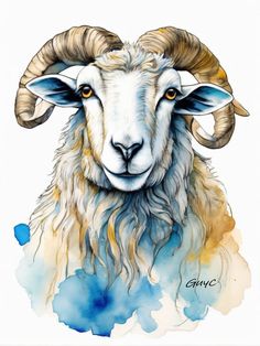 a painting of a ram with long horns on it's head and blue watercolor stains