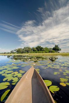 a canoe is in the water with lily pads