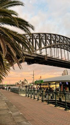 Sydney harbour bridge and sydney opera house #sydney #sydneyevents #sydneyoprea #harbourbridge City Life, Vacation Trips, Brisbane, Opera House, Sydney Opera House, Opera