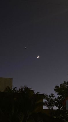 the moon and venus are visible in the night sky above some trees, with no clouds