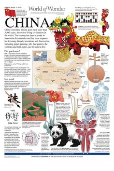 World History Facts, History Infographic, World History Lessons, Historical Timeline, Chinese Language Learning, World Of Wonder, Asian Countries, History Timeline, World Geography