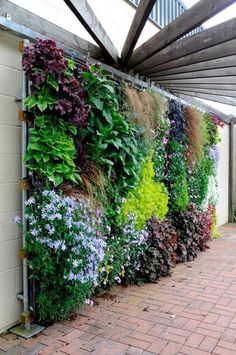 an outdoor living wall with various plants growing on the side of it and brick walkway