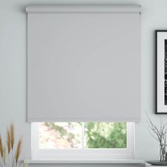 a white roller shade in a living room window with plants and pictures on the wall