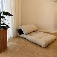 a living room with a plant in the corner and a pillow on the floor next to it