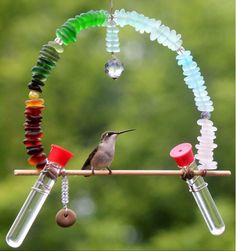 a bird sitting on top of a wooden stick next to a glass bottle filled with beads