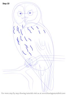 an owl sitting on top of a tree branch with the words step 10 written below it