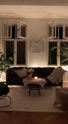 a living room filled with furniture and lots of windows next to a plant on top of a coffee table