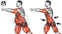 an image of a man doing exercises for back and upper body workouts with muscles highlighted