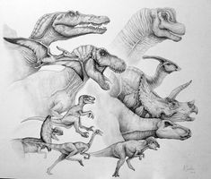 pencil drawing of dinosaurs in various poses